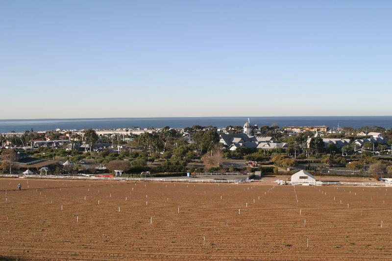 Carlsbad 006 Our condo view. Flowers go here.